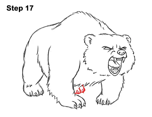Draw Angry Mean Growling Roaring Cartoon Bear 17