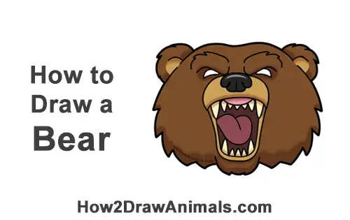 How to Draw a Bear Head (Cartoon) VIDEO & Step-by-Step Pictures