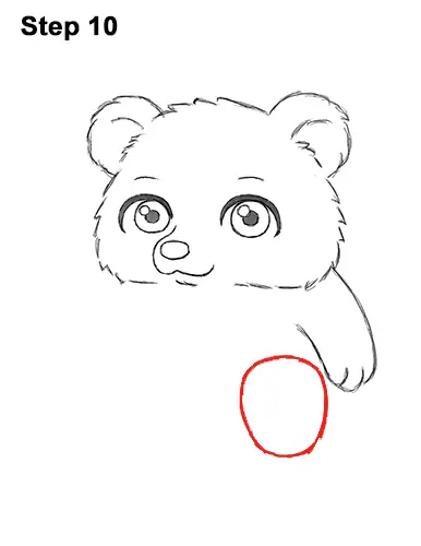 How to Draw a Cute Little Mini Chibi Cartoon Brown Bear Cub 10
