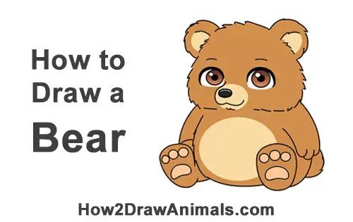 How to Draw a Cute Little Mini Chibi Cartoon Brown Bear Cub