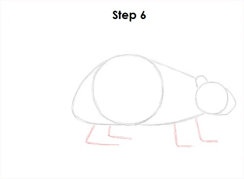 Draw Beaver 6