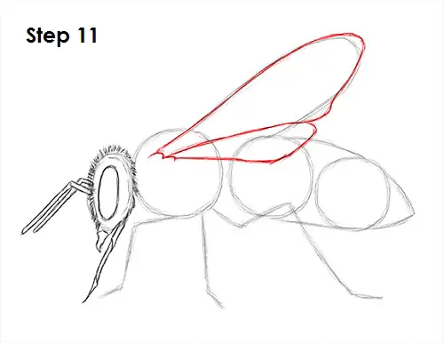 Draw Bee 11