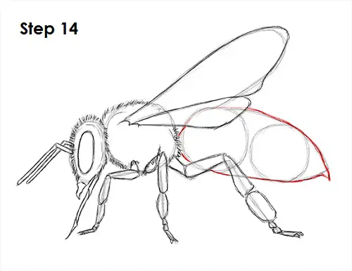 Draw Bee 14