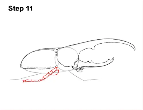 How to Draw a Hercules Rhino Beetle Bug 11