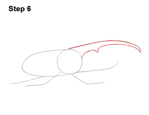 How to Draw a Hercules Rhino Beetle Bug 6