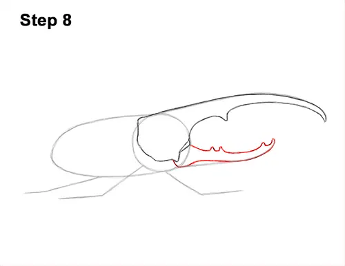 How to Draw a Hercules Rhino Beetle Bug 8