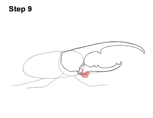 How to Draw a Hercules Rhino Beetle Bug 9