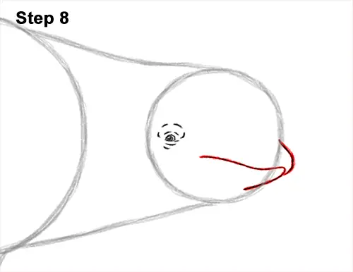 How to Draw a Beluga White Whale 8