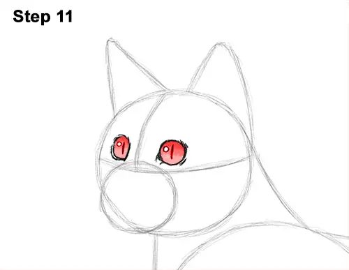How to Draw Bengal Kitten Cat Spots 11