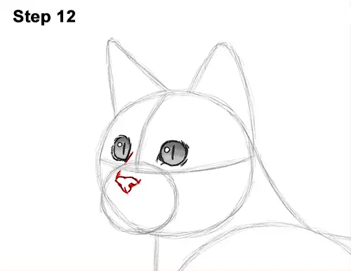 How to Draw Bengal Kitten Cat Spots 12