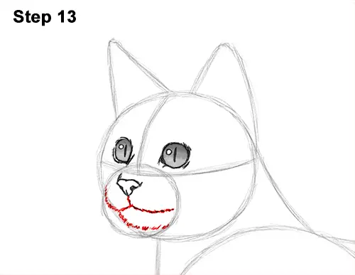 How to Draw Bengal Kitten Cat Spots 13