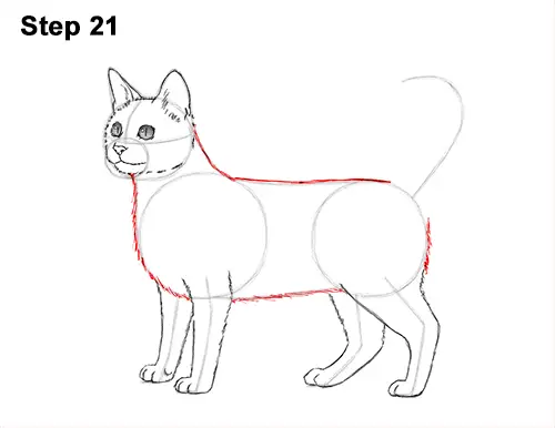 How to Draw Bengal Kitten Cat Spots 21