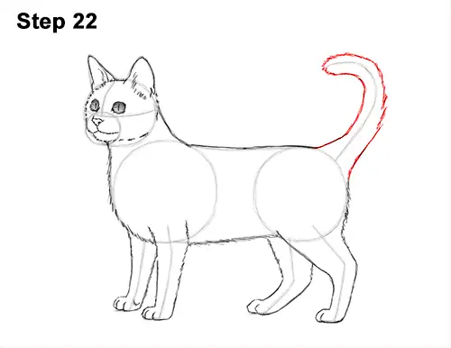 How to Draw Bengal Kitten Cat Spots 22