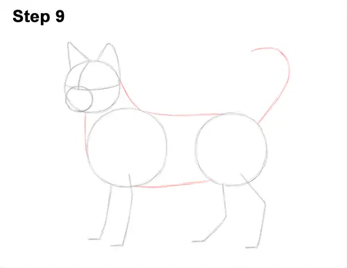 How to Draw Bengal Kitten Cat Spots 9