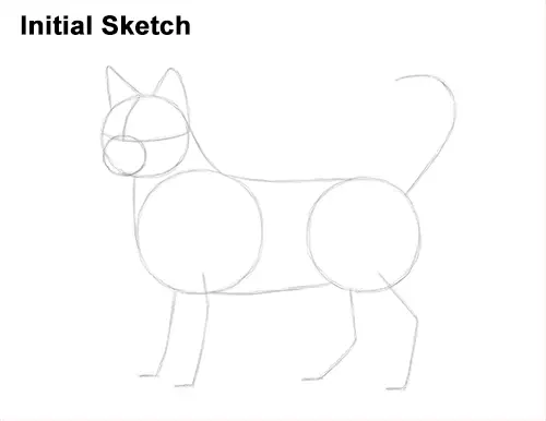 How to Draw Bengal Kitten Cat Spots Initial Sketch