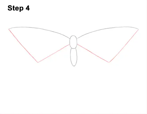 How to Draw a Yellow Eastern Tiger Swallowtail Butterfly 4