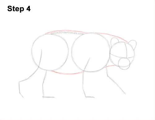 How to Draw an American Black Bear Walking Side View 4
