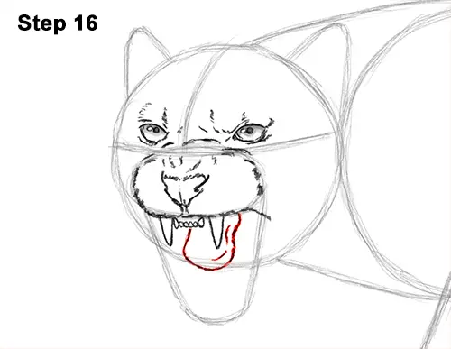 How to Draw an Angry Black Panther Roaring 16