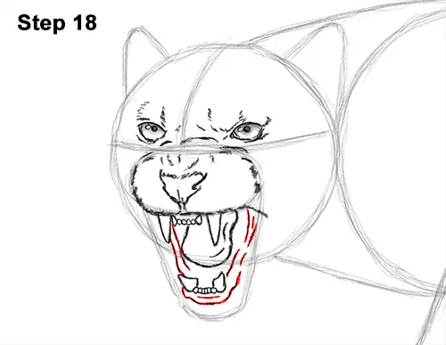 How to Draw an Angry Black Panther Roaring 18
