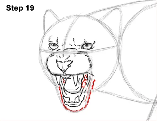 How to Draw an Angry Black Panther Roaring 19