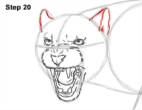 How to Draw an Angry Black Panther Roaring 20
