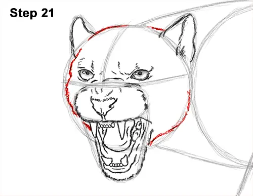 How to Draw an Angry Black Panther Roaring 21