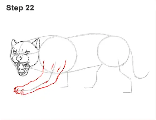 How to Draw an Angry Black Panther Roaring 22