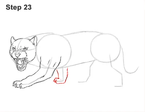 How to Draw an Angry Black Panther Roaring 23