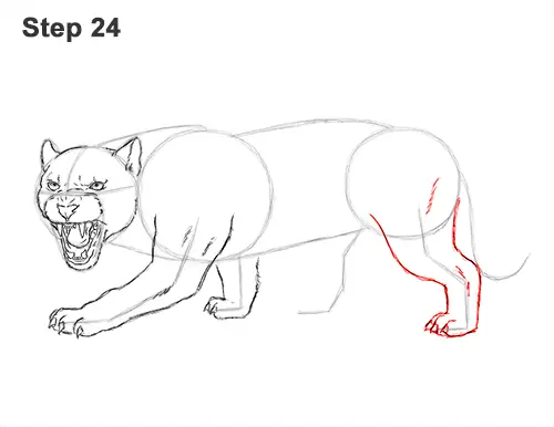 How to Draw an Angry Black Panther Roaring 24