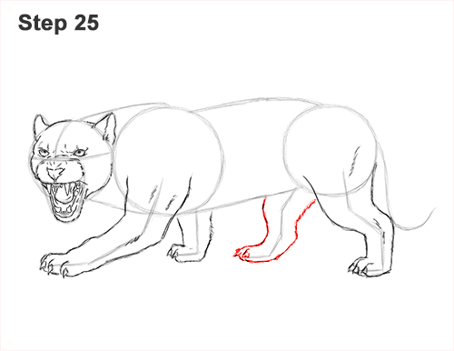 How to Draw an Angry Black Panther Roaring 25