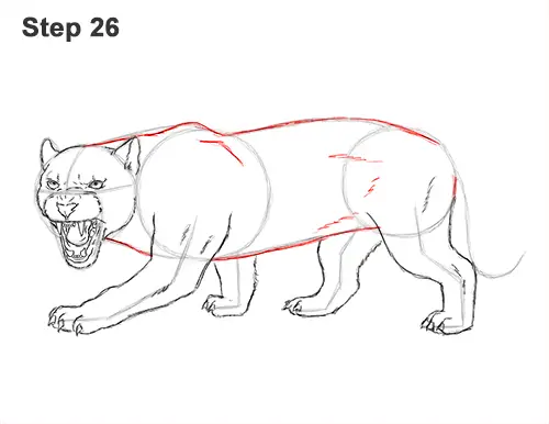 How to Draw an Angry Black Panther Roaring 26