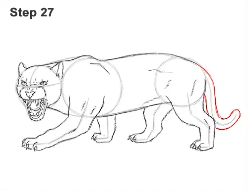 How to Draw an Angry Black Panther Roaring 27