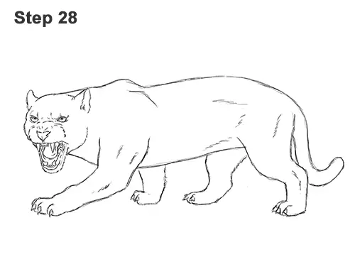 How to Draw an Angry Black Panther Roaring 28