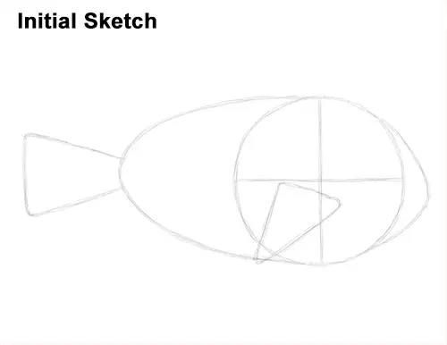 Draw Regal Blue Tang Fish Initial Sketch