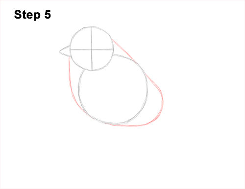 How to Draw a Eurasian Blue Tit Bird 5