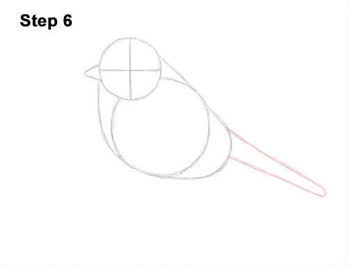 How to Draw a Eurasian Blue Tit Bird 6