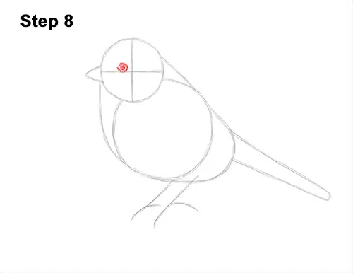 How to Draw a Eurasian Blue Tit Bird 8