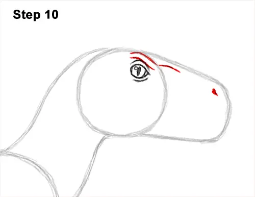 How to Draw Blue Velociraptor Jurassic World Dinosaur 10