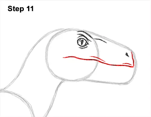 How to Draw Blue Velociraptor Jurassic World Dinosaur 11