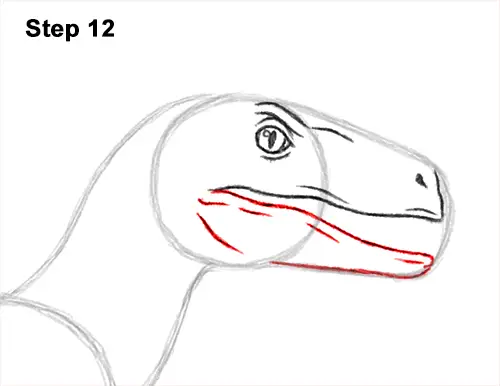 How to Draw Blue Velociraptor Jurassic World Dinosaur 12
