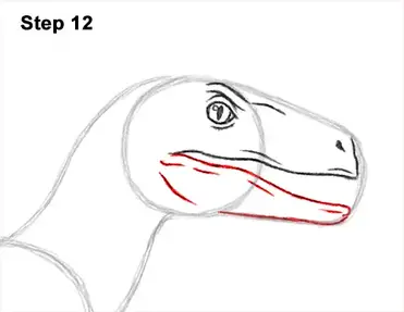 How To Draw Blue Velociraptor Jurassic Wolrd Video Step By Step Pictures