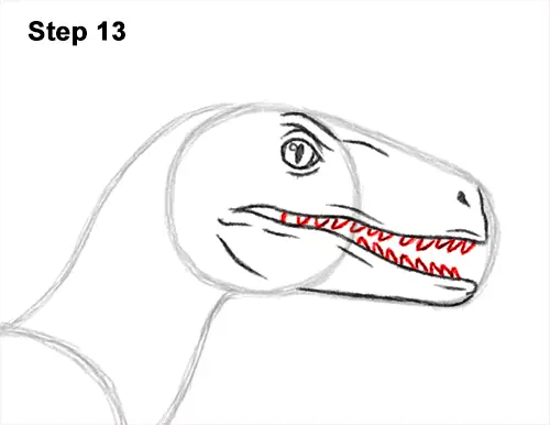 How to Draw Blue Velociraptor Jurassic World Dinosaur 13