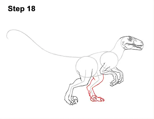 How to Draw Blue Velociraptor Jurassic World Dinosaur 18