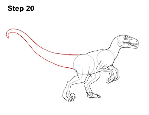 How to Draw Blue Velociraptor Jurassic World Dinosaur 20