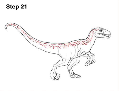 How to Draw Blue Velociraptor Jurassic World Dinosaur 21