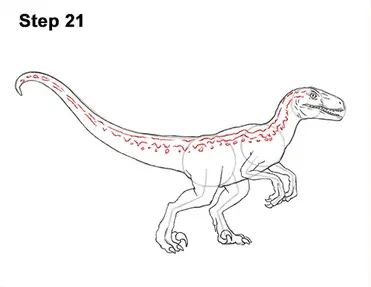How To Draw Blue Velociraptor Jurassic Wolrd Video Step By Step Pictures