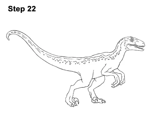 How to Draw Blue Velociraptor Jurassic World Dinosaur 22