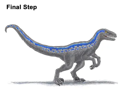 How to Draw Blue Velociraptor Jurassic World Dinosaur Color