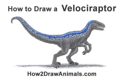 How to Draw Blue Velociraptor Jurassic World Dinosaur Color