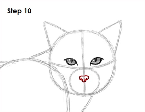 Draw Bobcat 10